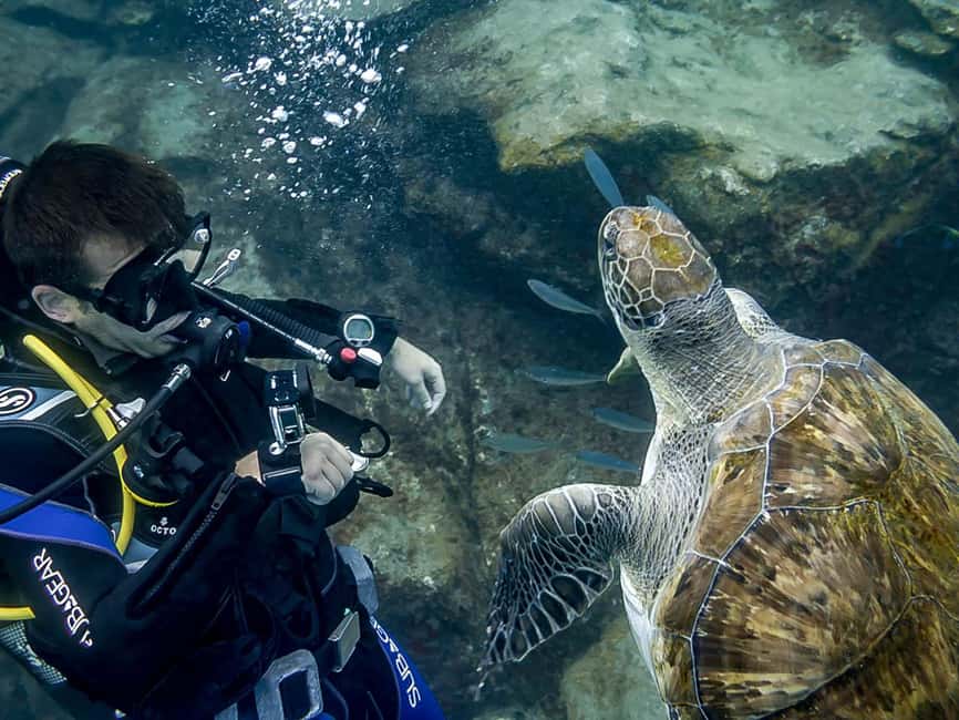 Tenerife: Beginner Scuba Diving Experience with Pickup - The first stop: the 30-minute safety briefing (and why it matters)
