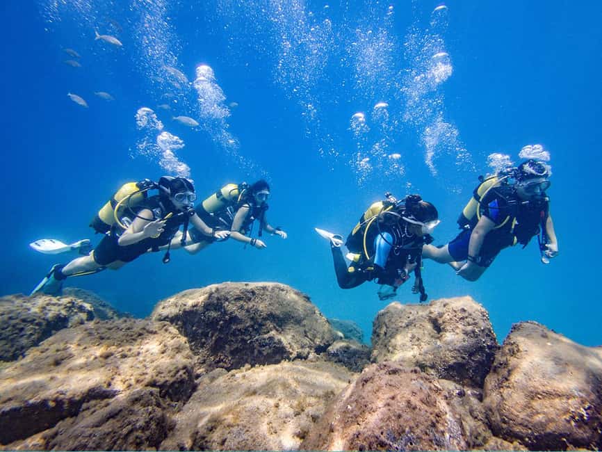 Tenerife: Beginner Scuba Diving Experience with Pickup - The Tenerife underwater session: about 2 hours total, with 40 to 60 minutes in the water