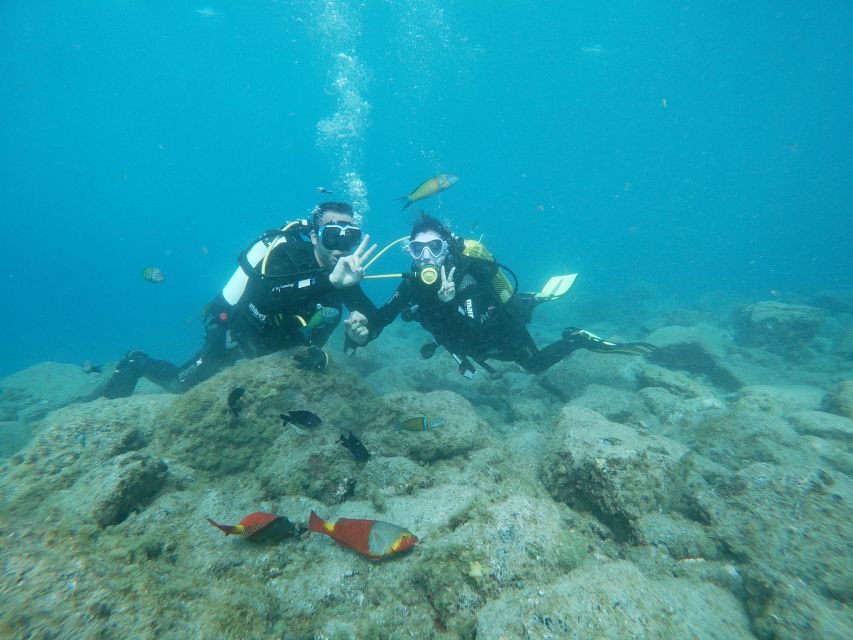 Tenerife: Costa Adeje Private Diving Lesson Experience - Key Takeaways Before You Go