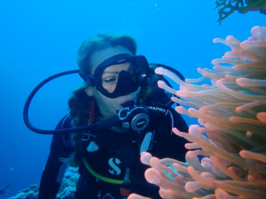 Tenerife: Costa Adeje Private Diving Lesson Experience - Safety, Comfort, and the Skills They Don’t Rush