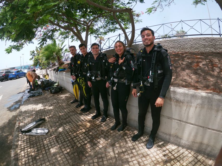 Tenerife: Costa Adeje Private Diving Lesson Experience - Wildlife and Underwater Rock Formations: What You’ll Be Watching For