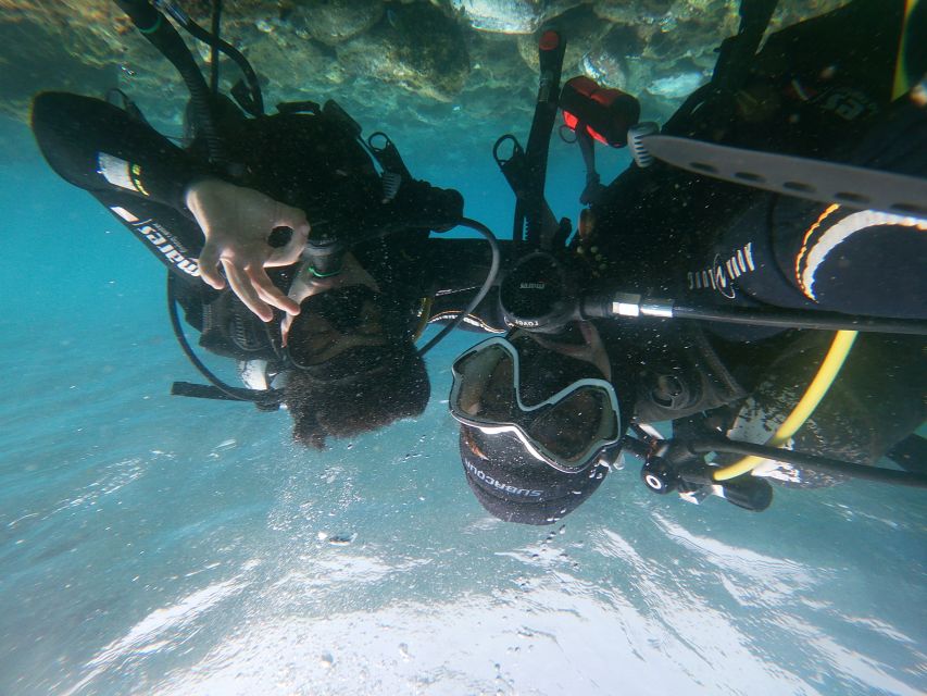 Tenerife: Costa Adeje Private Diving Lesson Experience - Who This Private Lesson Is Best For in Costa Adeje