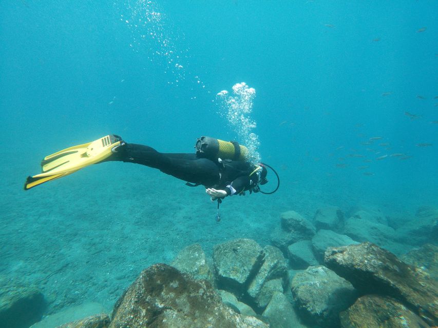 Tenerife: Costa Adeje Private Diving Lesson Experience - Should You Book This Costa Adeje Scuba Lesson?