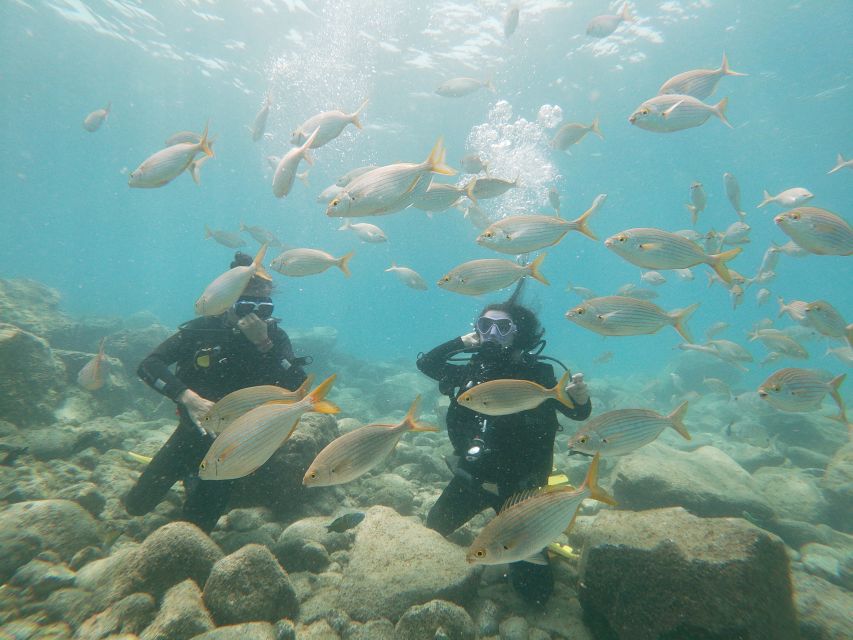 Tenerife: Costa Adeje Private Diving Lesson Experience - The 2.5-Hour Flow: From Gear Checks to Your First Underwater Session