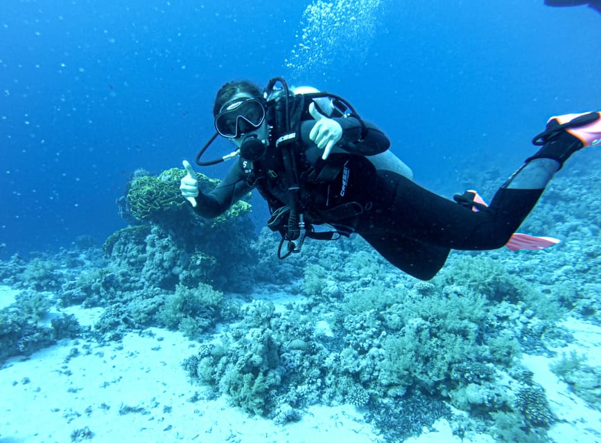 Tenerife - Discover Scuba Diving Experience with Instructor - What you learn in the briefing (and what to pay attention to)