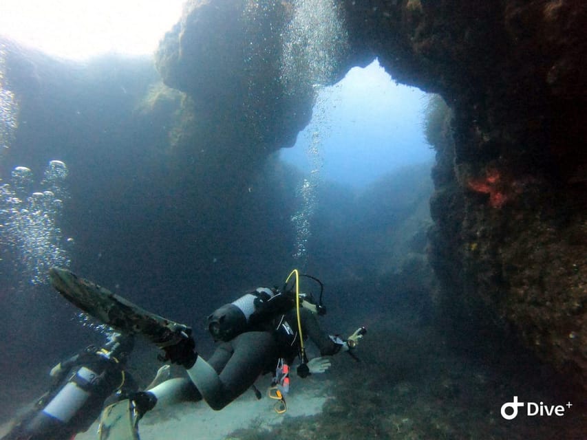 Tenerife - Discover Scuba Diving Experience with Instructor - Languages and coaching style: English, Spanish, Italian