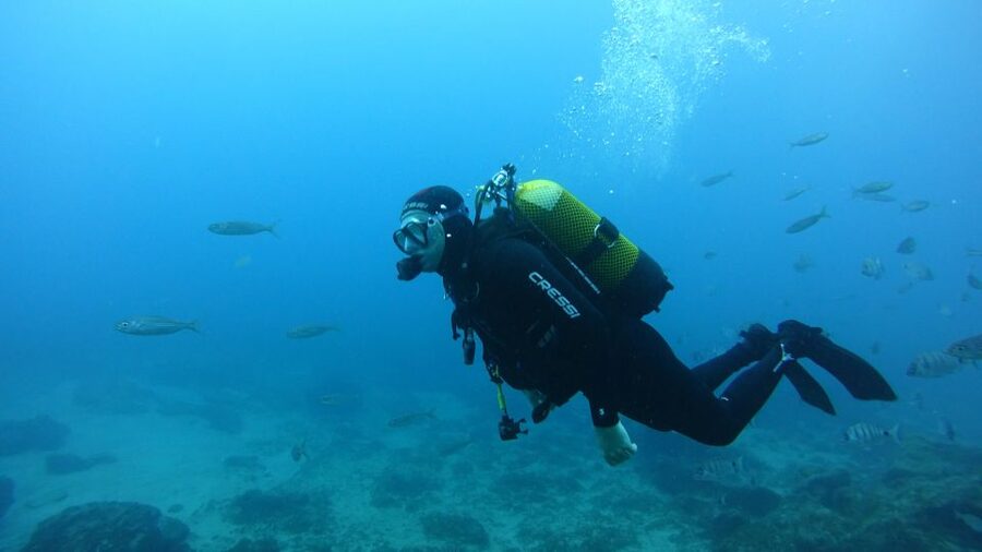 Tenerife: Discover Scuba Diving with Free Photos - Key Takeaways Before You Go