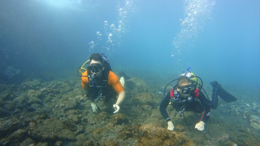 Tenerife: Discover Scuba Diving with Free Photos - Up to 12 Meters Off Tenerife: Volcanic Formations and Marine Life