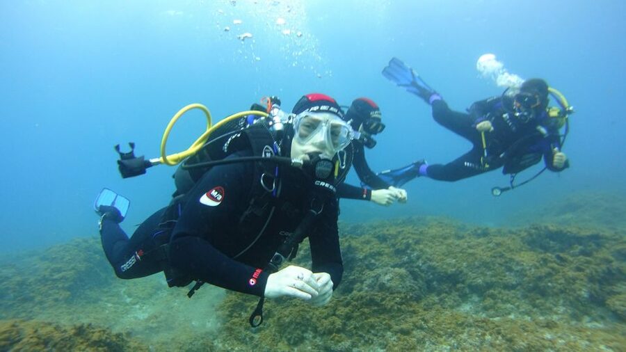 Tenerife: Discover Scuba Diving with Free Photos - Ocean Friends Team: Safety, Patience, and Real Guidance