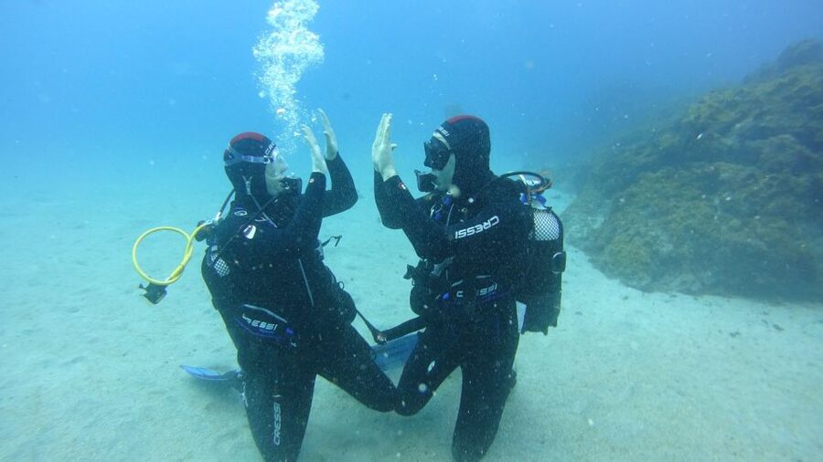 Tenerife: Discover Scuba Diving with Free Photos - The 3-Hour Plan: Lesson, Gear, and Calm-Water Practice