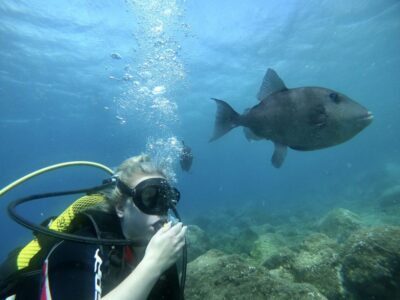 Tenerife : Diving License international in one day - The 4-hour flow: theory first, then two underwater sessions off the beach
