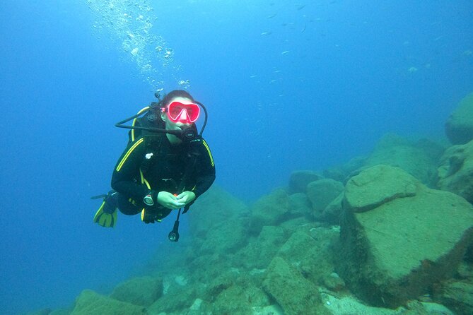 Tenerife First Time Scuba Dive – Turtle Habitat, Small Groups - Puerto Colón: why this setting works for your first scuba session
