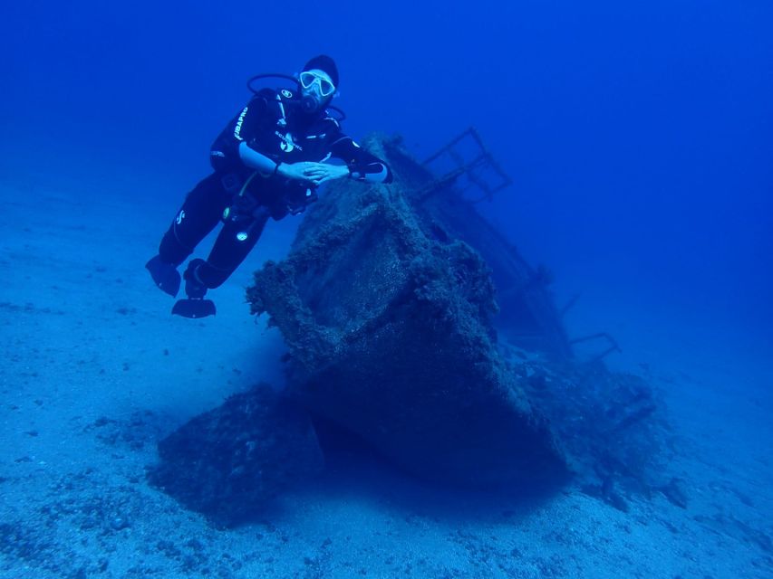 Tenerife : Private Dive for Beginners from a Boat - Key Things You’ll Notice Right Away