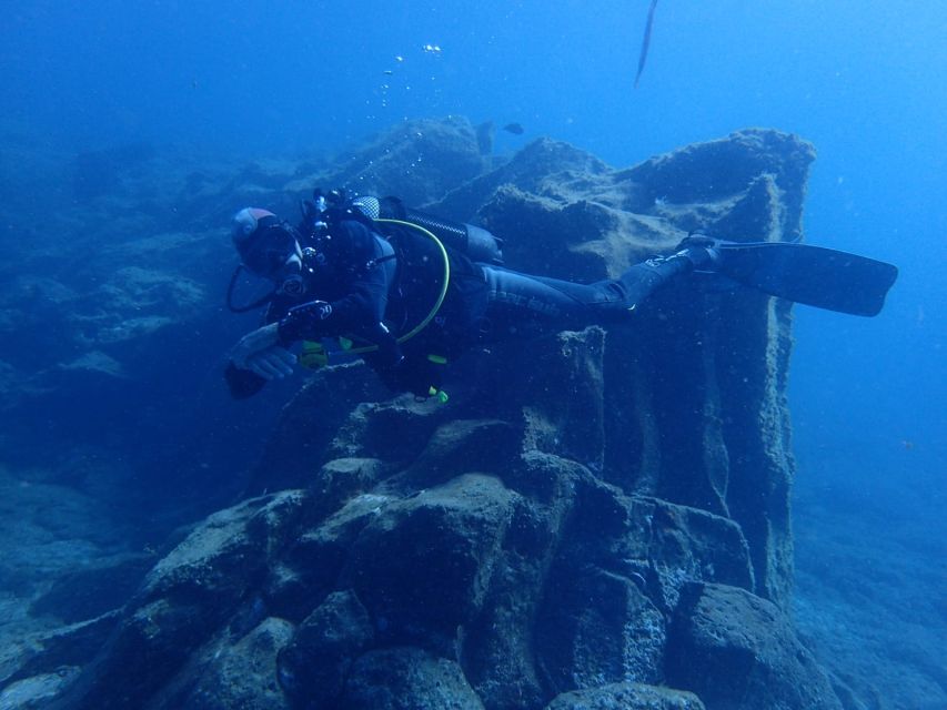 Tenerife : Private Dive for Beginners from a Boat - Safety and Comfort: Small Group, Pro Team, Real Attention