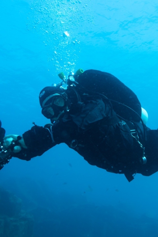 Tenerife : Private Dive for Beginners from a Boat - Meet Your Instructor, Then Learn the Basics Before You Go