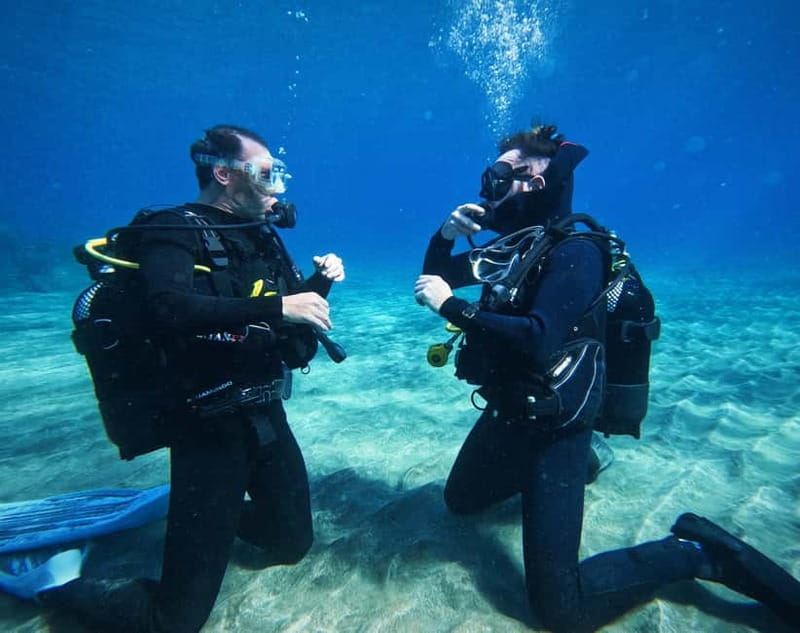 Tenerife: Private Scuba Diving–Certified Instructor & Photos - Private Scuba With a Certified Instructor: what you really get for the money