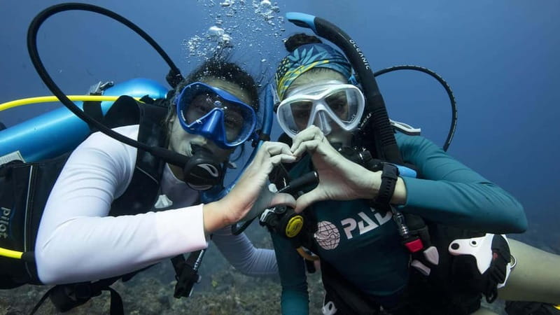 Tenerife: Private Scuba Diving–Certified Instructor & Photos - Gear, safety briefing, and why the calm pace helps