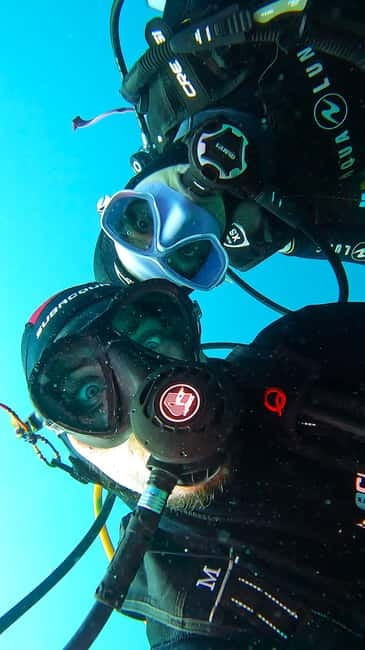 Tenerife: Private Scuba Diving–Certified Instructor & Photos - Marine life chances in Tenerife’s south: keep expectations human