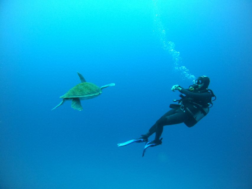 Tenerife: Puerto Colon Certified Scuba Dive by Speed Boat - Key things to know before you go