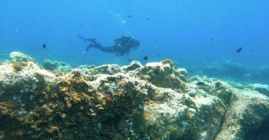 Tenerife: Puerto Colon Certified Scuba Dive by Speed Boat - The speed-boat segment: short rides with real change-of-scene value