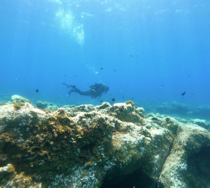 Tenerife: Puerto Colon Certified Scuba Dive by Speed Boat - How the entry works: backward roll-in and meeting your guide at the front