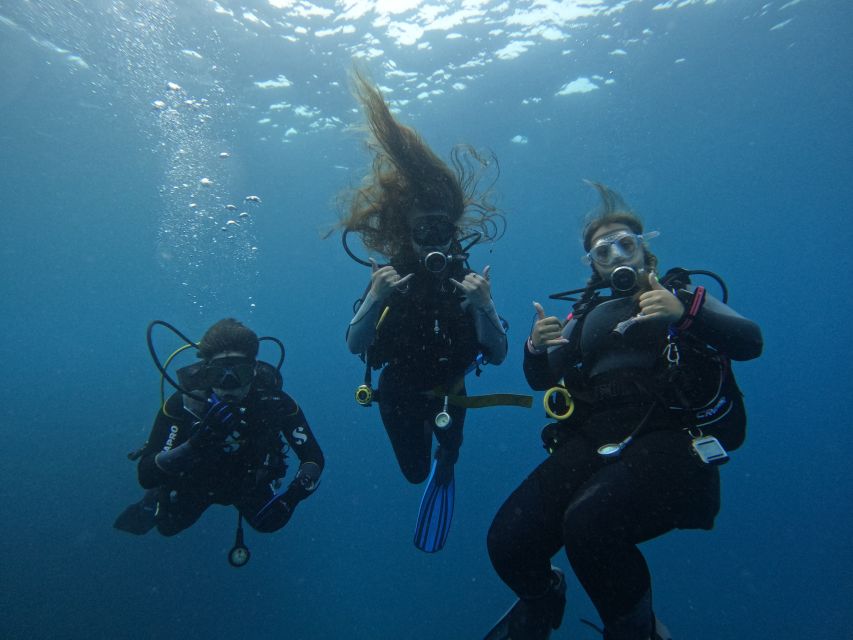 Tenerife: Puerto Colon Certified Scuba Dive by Speed Boat - The paperwork + safety briefing that makes the whole day easier