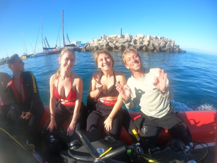 Tenerife: Puerto Colon Discover Scuba Diving Trip - The Underwater Session to 12 Meters: Skills, Wildlife, and Your First Breaths