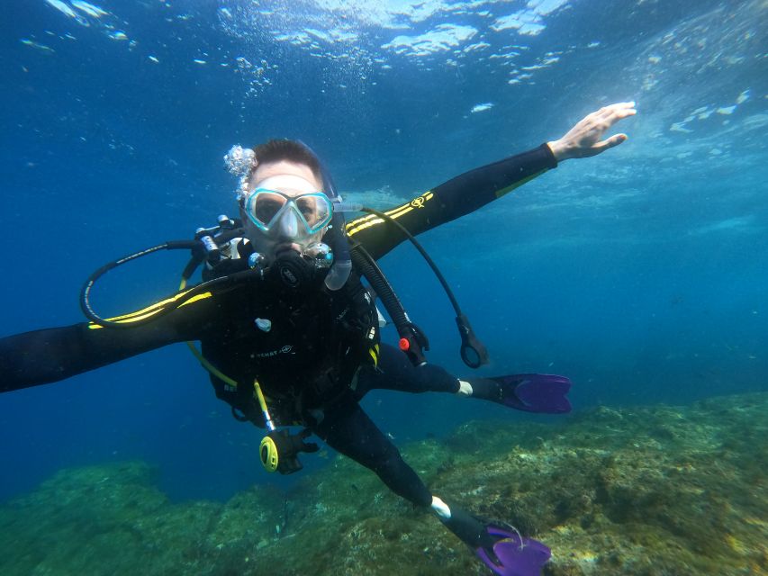 Tenerife: Puerto Colon Discover Scuba Diving Trip - How the DSD Certificate Shapes Your Next Step