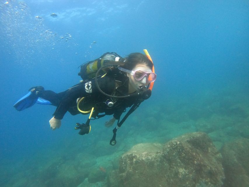 Tenerife: Puerto Colon Discover Scuba Diving Trip - Small Planning Notes: Contacts, Health, and the 12-Hour Wait