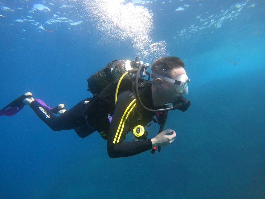Tenerife: Puerto Colon Discover Scuba Diving Trip - Languages, Accessibility, and Practical Comfort