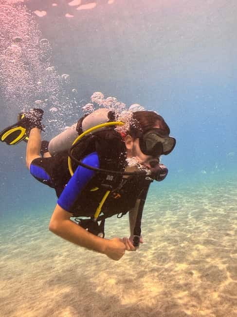 Tenerife: Scuba Dive & Fun, Discover the Magic of the Ocean - The guided underwater session (30–40 minutes) with close instruction