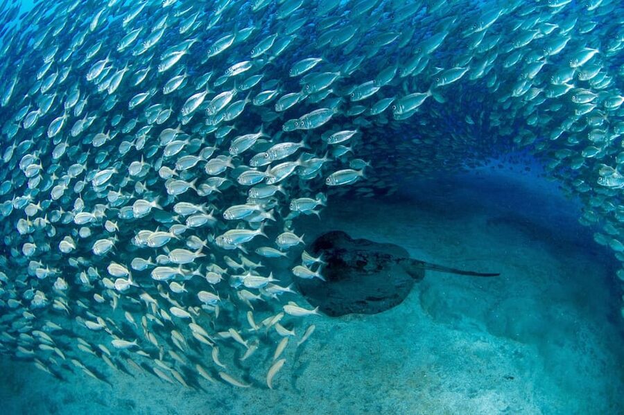 Tenerife: Scuba Diving Experience for Every Level - Max 3 People: Why the Small Group Changes Everything