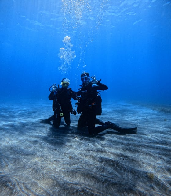 Tenerife: Scuba Diving Experience for Every Level - Who This Works Best For (and Who Should Skip It)