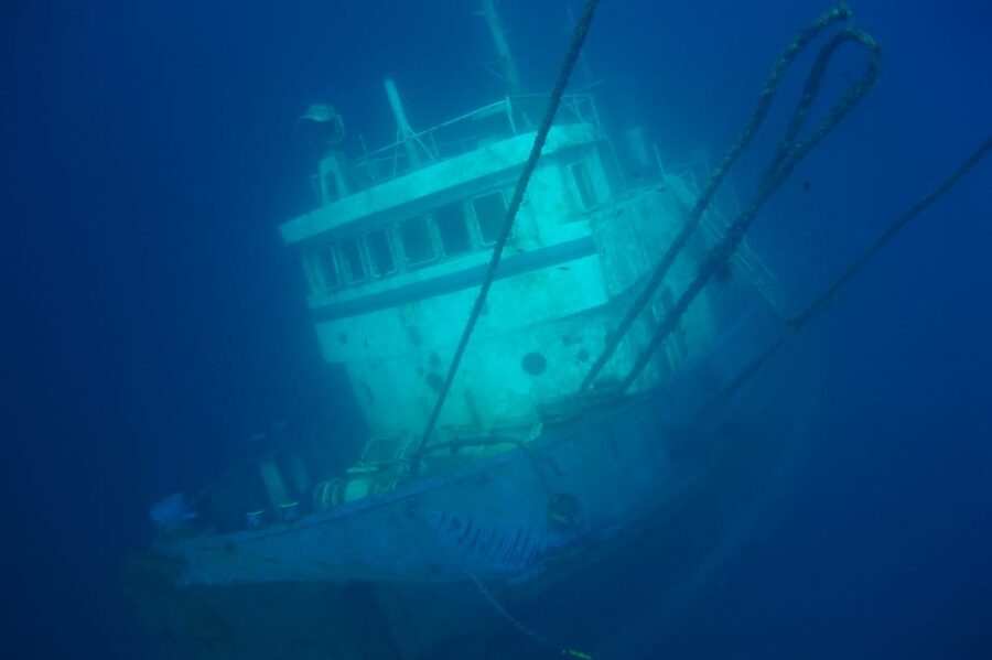 Tenerife Scuba Diving for Certified Divers - Playa de Abades: why this protected bay works so well