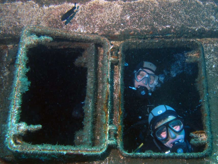 Tenerife Scuba Diving for Certified Divers - What you might see: wrecks, black coral, turtles, and volcanic textures