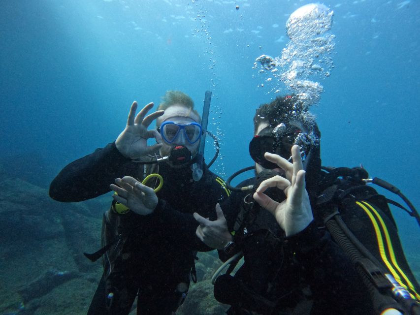 Tenerife: Scuba Diving for Certified Divers in Tenerife - Getting to the water fast from Puerto Colón
