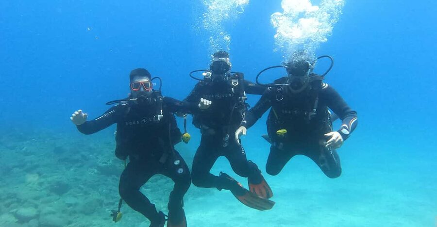 Tenerife south: Scuba Dive for beginners in Adeje - From hotel coffee to theory at 9:00