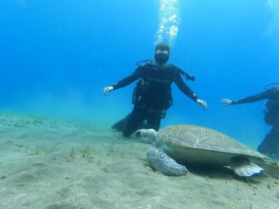 Tenerife south: Scuba Dive for beginners in Adeje - What you really learn in the safety briefing