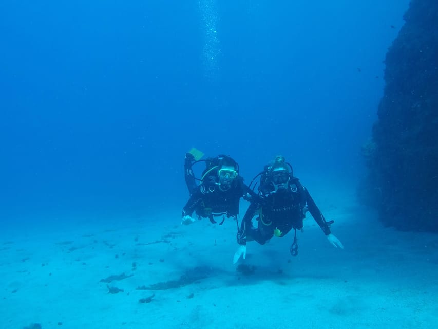 Tenerife south: Scuba Dive for beginners in Adeje - Practical tips for a smooth morning in Adeje