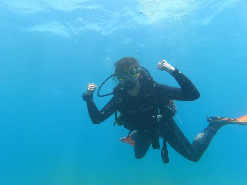 Tenerife south: Scuba Dive for beginners in Adeje - Should you book this beginner underwater course in Adeje?