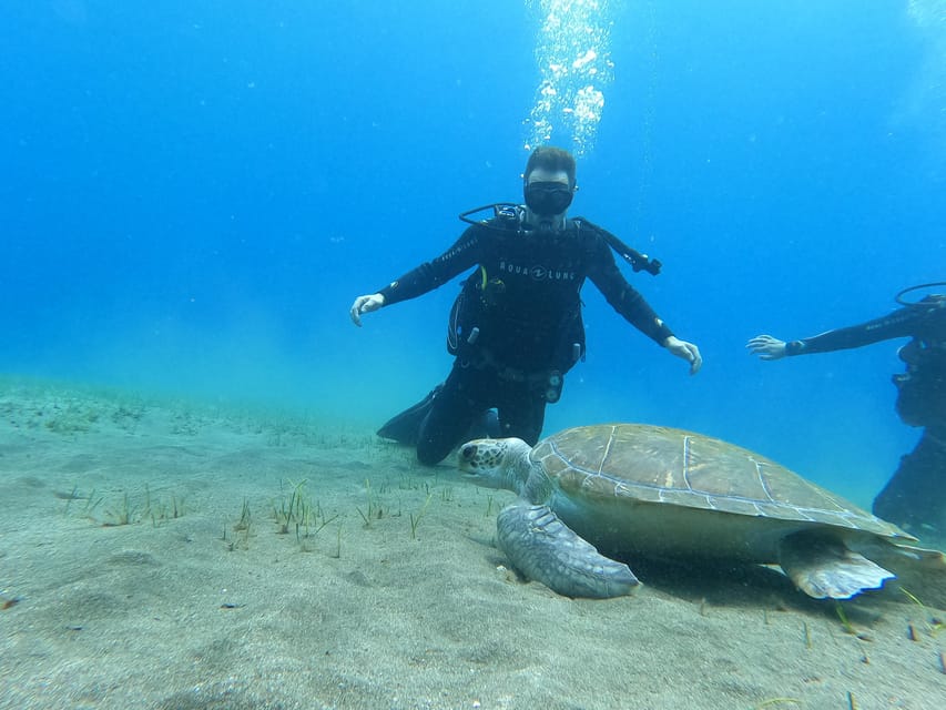Tenerife south: Scuba Dive for beginners in Adeje - What you really learn in the safety briefing