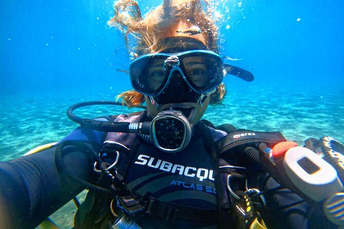 Tenerife Under The Sea - dive into 1-1 personalised experience - Underwater time: marine life you can actually hope to see