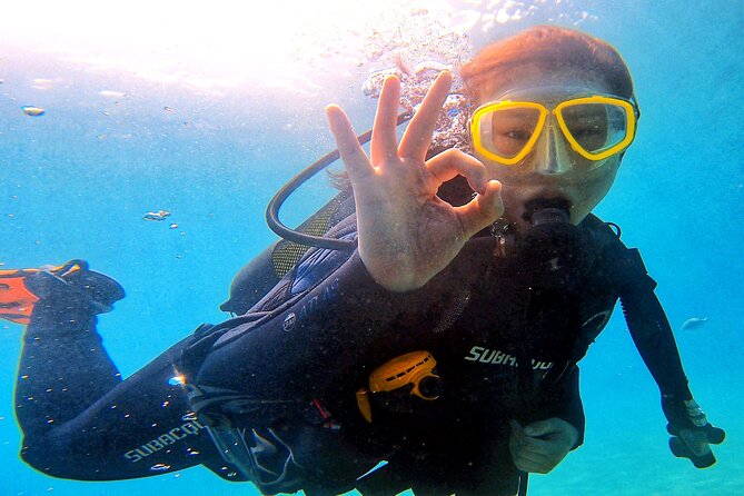 Tenerife Under The Sea - dive into 1-1 personalised experience - A simple timeline you can picture