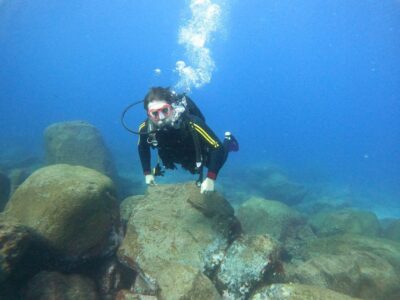 Tenerife: Your First Scuba Diving Experience in Turtle Area - Where you meet and how to get set up fast