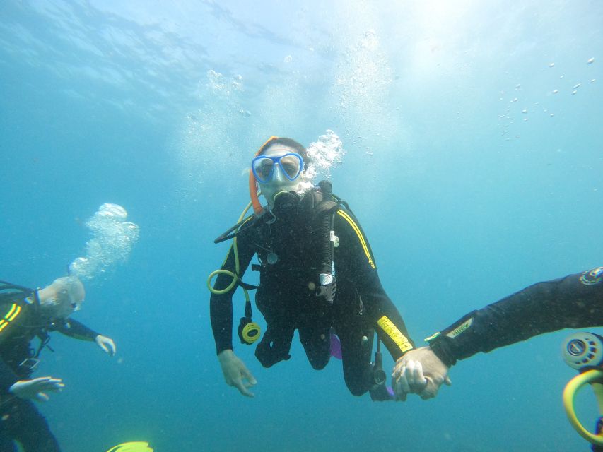 Tenerife: Your First Scuba Diving Experience in Turtle Area - What the experience costs, and why $84 can still be a win