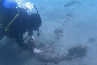 Terceira Azores: Scuba-Double dive Trip(certified Divers) - Before You Go Under: The Planning and Gear Briefing