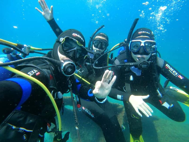 Terceira Island:Try Scuba in a Shipwreck-Archeological park - Key Highlights You’ll Care About