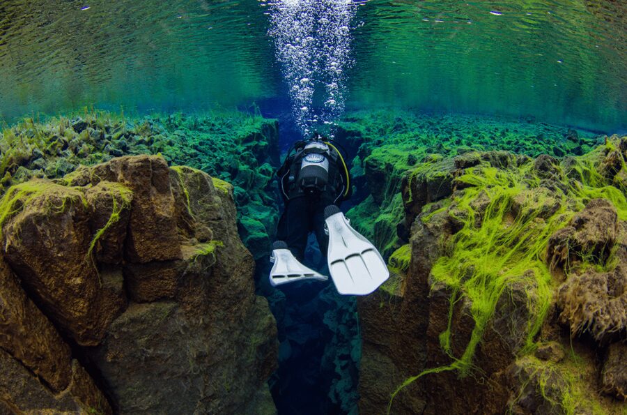 Thingvellir: Silfra Fissure Diving with Optional Pickup - A 4–6 Hour Day: What Fills the Time