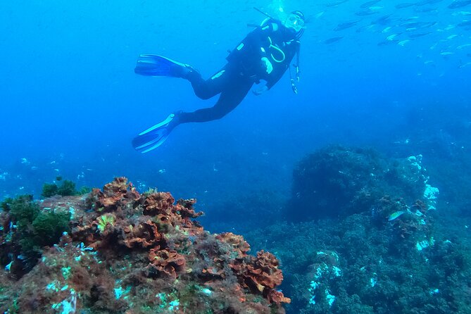 Third Island:Try Scuba in a Shipwreck-Archeological park - Private session energy: your group only