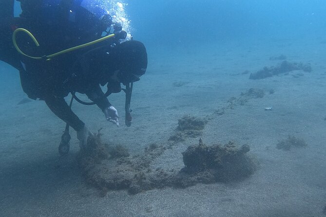 Third Island:Try Scuba in a Shipwreck-Archeological park - Lidador: what you’ll see on the shipwreck (and why it’s different)